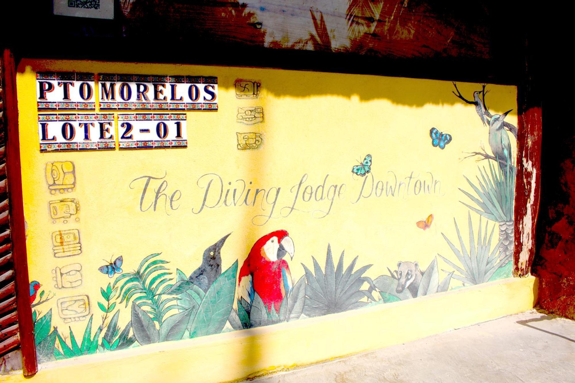The Diving Downtown Puerto Morelos